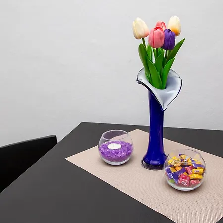 Apartment Ploce *
